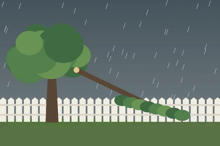 Illustration: large limb down across a backyard fence after a storm