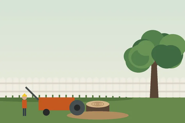 Illustration: freshly ground stump area in a lawn