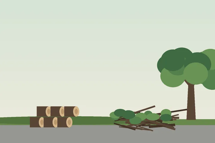 Illustration: large pile of cut logs and branches in a driveway