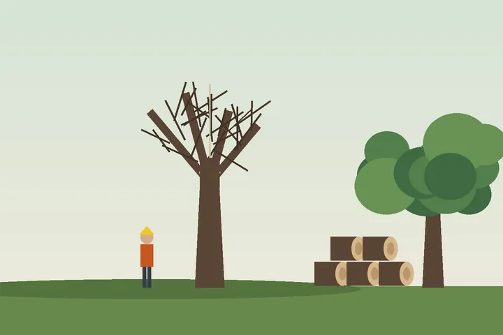 Illustration: crew lowering a tree section by rope
