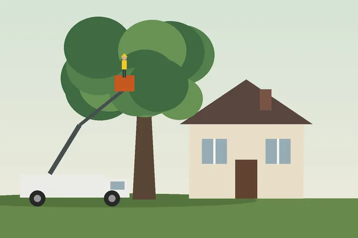 Illustration of a large shade tree beside a two-story home